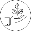 再生