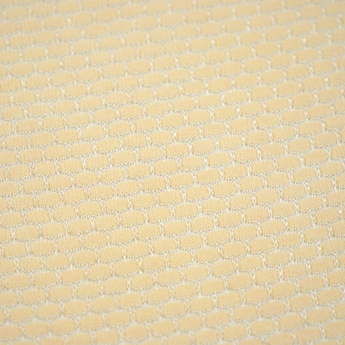 7093-(2).jpg