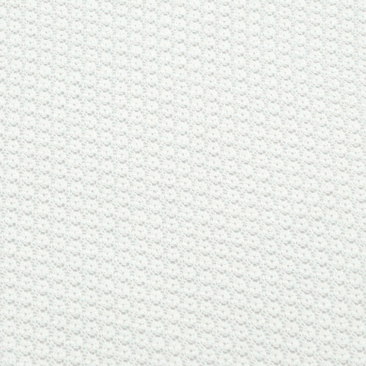 8398-1.jpg