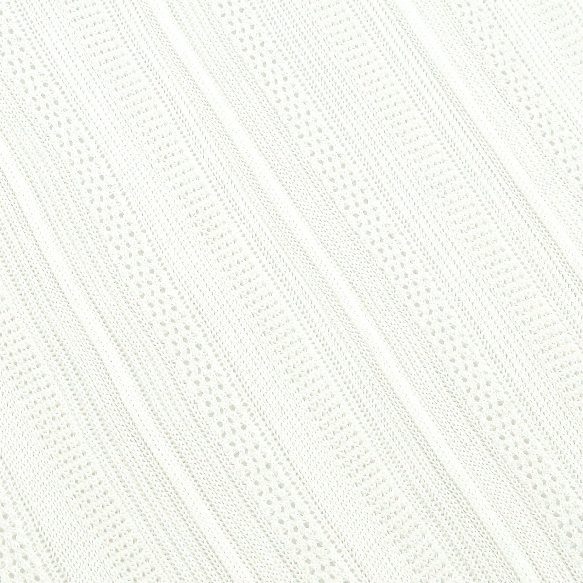 8446-1.jpg