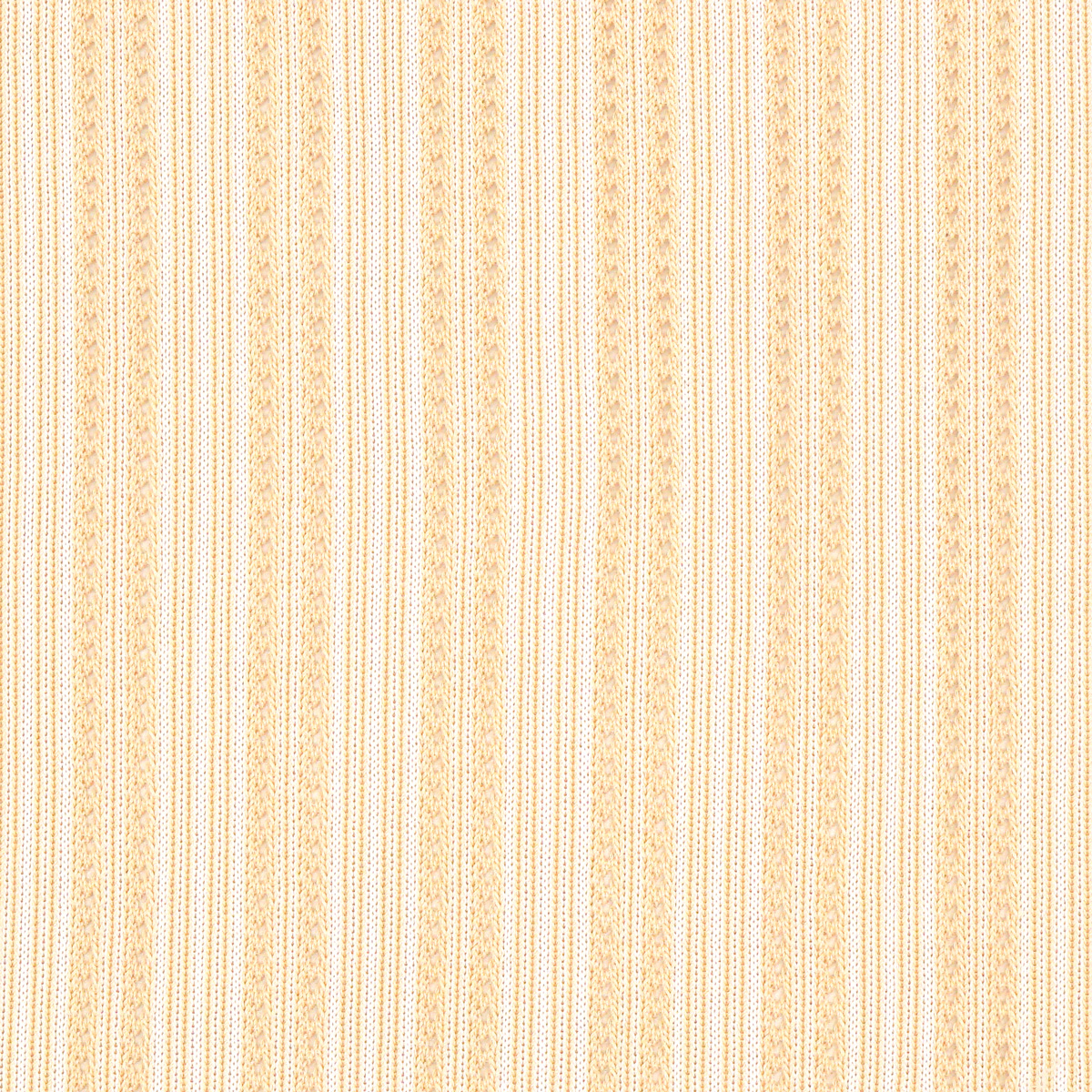 8497-2.jpg
